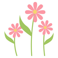 Flower Illustrations