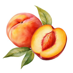 Ripe peach illustration with one whole and one half, showcasing juicy texture, transparent background