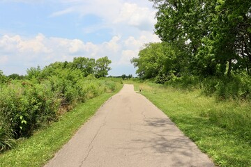 The long pathway in the countryside on a sunny day.