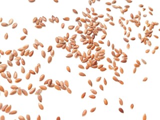 Obraz premium Raw flaxseeds for better taste.