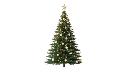 Christmas tree with golden ornament isolated on white background