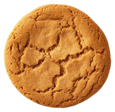 PNG Biscuit cookie food snickerdoodle.