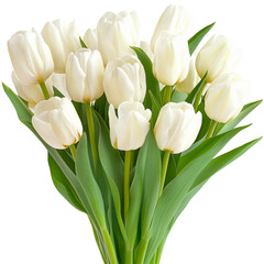 Elegant Bouquet of White Tulips with Green Leaves Isolated on Transparent Background.