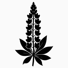 Lupine flower Black silhouette