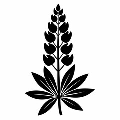 Lupine flower Black silhouette