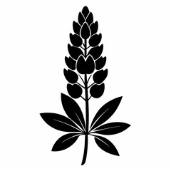 Lupine flower Black silhouette