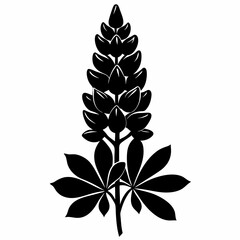 Lupine flower Black silhouette