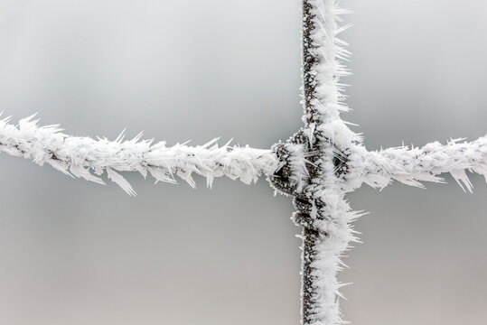 Extreme close up of spiked frost on a barbed wire fence; Calgary, Alberta, Canada