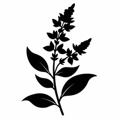 Loosestrife Black silhouette