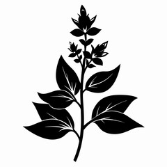 Loosestrife Black silhouette