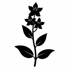 Loosestrife Black silhouette