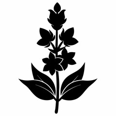 Loosestrife Black silhouette