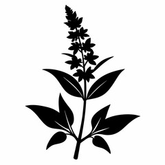 Loosestrife Black silhouette