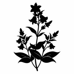 Lobelia Black silhouette
