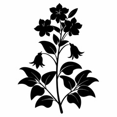 Lobelia Black silhouette