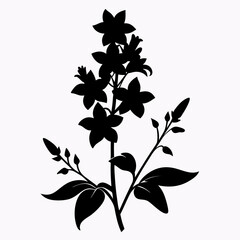 Lobelia Black silhouette
