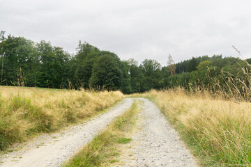 road in the countryside, field road