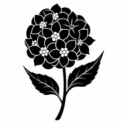 Lantana Black silhouette