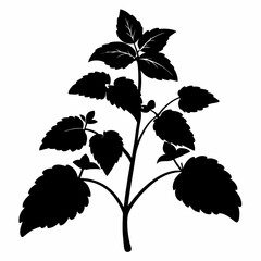 Lamium Black silhouette