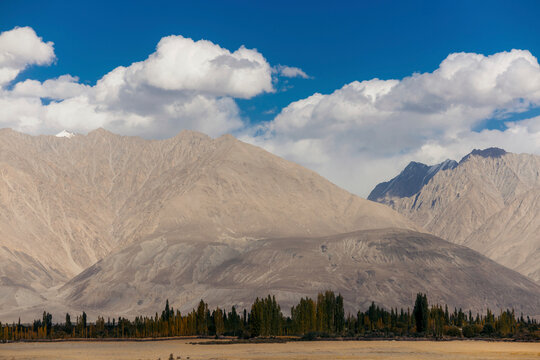 Rugged bare rock mountains and trees in the Nubra valley below with blue sky and cloud; Diskit, Nubra Valley, Leh, Ladakh