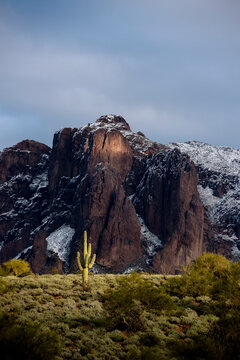 Fresh desert snow in the Superstition Mountains of Arizona, USA; Apache Junction, Arizona, United States of America