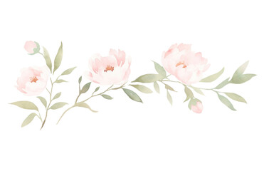 PNG Cute peonies branch as line watercolour illustration pattern flower plant.