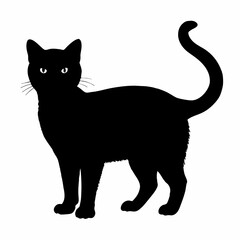 CATS Bundle SVG, Cat SVG, Cats Svg Cut Files for Cricut, Cats Clipart, Cats Vector, Cats Silhouette Svg