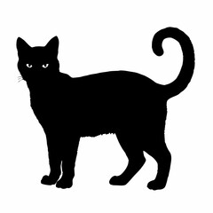 CATS Bundle SVG, Cat SVG, Cats Svg Cut Files for Cricut, Cats Clipart, Cats Vector, Cats Silhouette Svg