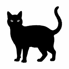 CATS Bundle SVG, Cat SVG, Cats Svg Cut Files for Cricut, Cats Clipart, Cats Vector, Cats Silhouette Svg