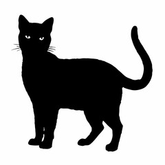CATS Bundle SVG, Cat SVG, Cats Svg Cut Files for Cricut, Cats Clipart, Cats Vector, Cats Silhouette Svg