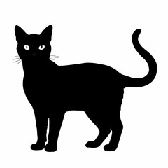 Cat Silhouette | Cat SVG Cat Cut Files | Cat Svg | Kitten Svg | Cat Vector CATS Bundle SVG, Cut Files for Cricut, Cats Clipart, Kitten Svg