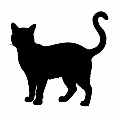 Cat Silhouette | Cat SVG Cat Cut Files | Cat Svg | Kitten Svg | Cat Vector CATS Bundle SVG, Cut Files for Cricut, Cats Clipart, Kitten Svg