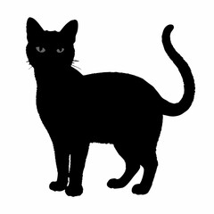 Cat Silhouette | Cat SVG Cat Cut Files | Cat Svg | Kitten Svg | Cat Vector CATS Bundle SVG, Cut Files for Cricut, Cats Clipart, Kitten Svg