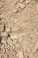 Dry ground and stones as background, above view