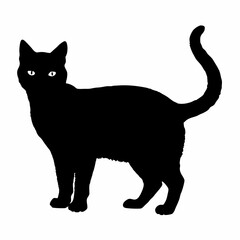 Cat Silhouette | Cat SVG Cat Cut Files | Cat Svg | Kitten Svg | Cat Vector CATS Bundle SVG, Cut Files for Cricut, Cats Clipart, Kitten Svg
