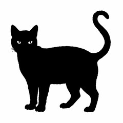 Cat Silhouette | Cat SVG Cat Cut Files | Cat Svg | Kitten Svg | Cat Vector CATS Bundle SVG, Cut Files for Cricut, Cats Clipart, Kitten Svg