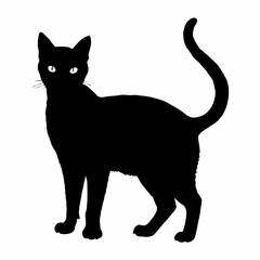 Cat Silhouette | Cat SVG Cat Cut Files | Cat Svg | Kitten Svg | Cat Vector CATS Bundle SVG, Cut Files for Cricut, Cats Clipart, Kitten Svg