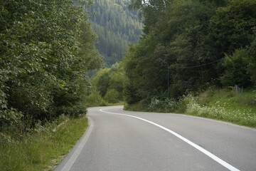 Beautiful view of green trees and asphalt road in mountains