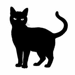 CATS Bundle SVG, Cat SVG, Cats Svg Cut Files for Cricut, Cats Clipart, Cats Vector, Cats Silhouette Svg