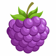 Illustration of a Single Purple Blackberry with Green Leaves