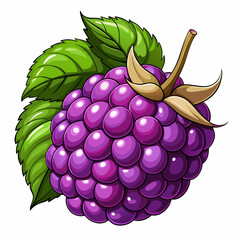 A Single Cartoon Blackberry with Green Leaves