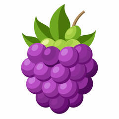 A Single Purple Blackberry with Green Leaves