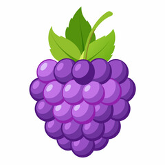 A Single Blackberry with Green Leaves on White Background