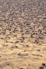 footprints in the sand