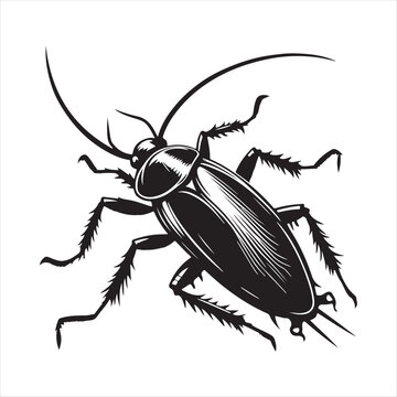black cockroach insect detailed line art clip art preview