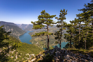 Naklejka premium Tara national park (Тара национални парк): Banjska Stena Viewpoint (Видиковац Бањска стена) on Perucac lake, serbia