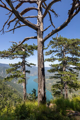 Tara national park (Тара национални парк): Pasjača Viewpoint on Perucac lake, serbia