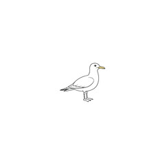 seagull isolated on white background