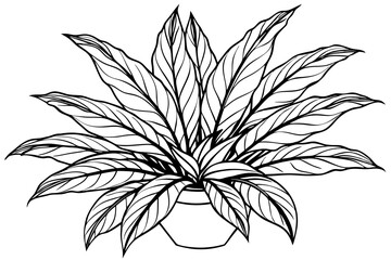Botanical Art Vector Design