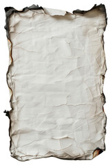 PNG Burnt parchment paper texture
